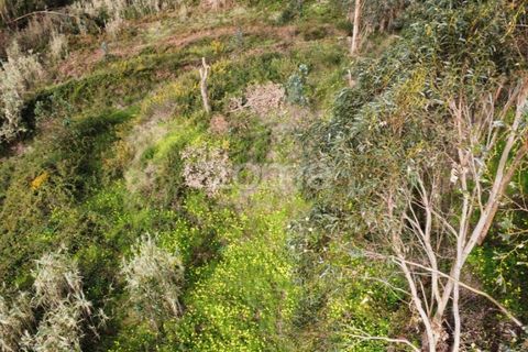 Terra a Alqueidao, Coimbra, Alqueidao - € 115.000 | Ref: ZMPT586856 - foto 5