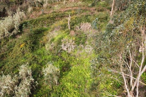 Terra a Alqueidao, Coimbra, Alqueidao - € 115.000 | Ref: ZMPT586856 - foto 6