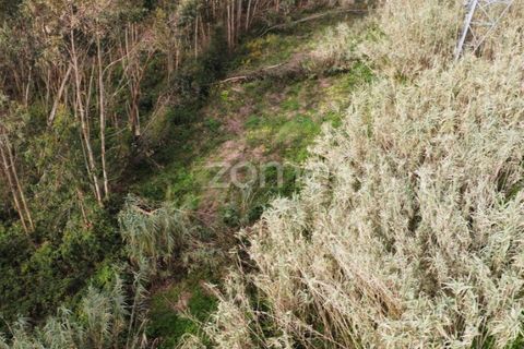 Terra a Alqueidao, Coimbra, Alqueidao - € 115.000 | Ref: ZMPT586856 - foto 7
