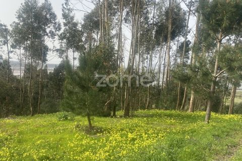 Terra a Alqueidao, Coimbra, Alqueidao - € 115.000 | Ref: ZMPT586856 - foto 10