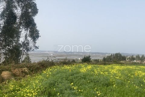Terra a Alqueidao, Coimbra, Alqueidao - € 115.000 | Ref: ZMPT586856 - foto 11