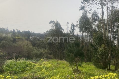 Terra a Alqueidao, Coimbra, Alqueidao - € 115.000 | Ref: ZMPT586856 - foto 12