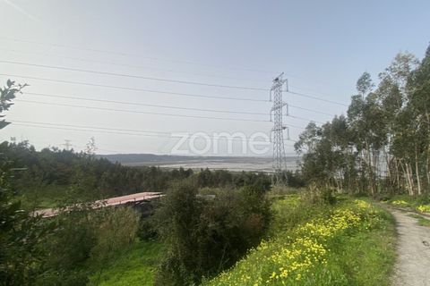 Terra a Alqueidao, Coimbra, Alqueidao - € 115.000 | Ref: ZMPT586856 - foto 13