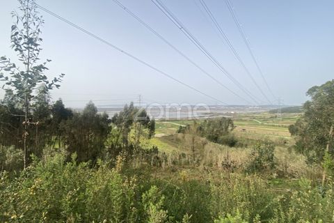 Terra a Alqueidao, Coimbra, Alqueidao - € 115.000 | Ref: ZMPT586856 - foto 14