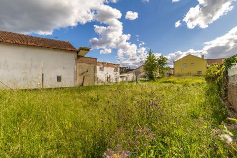 Helårsgrund i Pombal, Leiria, Pombal - € 37.500 | Ref: ZMPT586674 - foto 4
