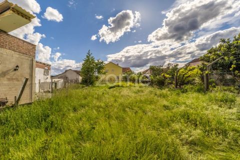 Helårsgrund i Pombal, Leiria, Pombal - € 37.500 | Ref: ZMPT586674 - foto 5