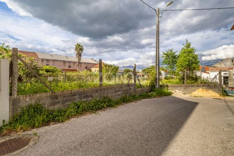 Helårsgrund i Pombal, Leiria, Pombal - € 37.500 | Ref: ZMPT586674 - foto 6
