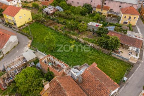 Helårsgrund i Pombal, Leiria, Pombal - € 37.500 | Ref: ZMPT586674 - foto 9