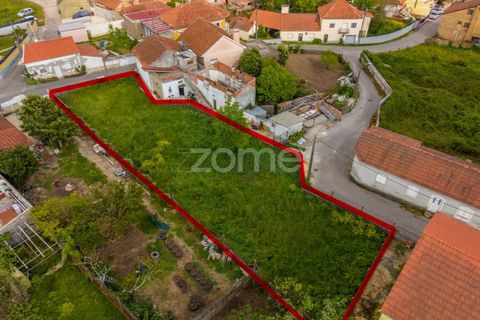 Helårsgrund i Pombal, Leiria, Pombal - € 37.500 | Ref: ZMPT586674 - foto 12