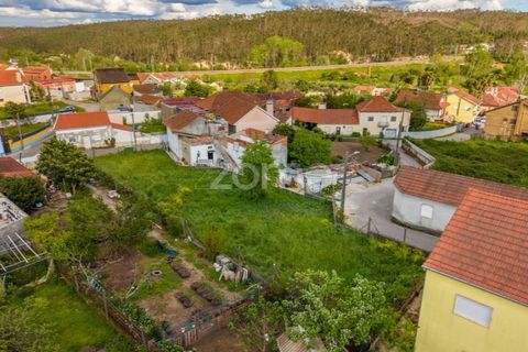 Helårsgrund i Pombal, Leiria, Pombal - € 37.500 | Ref: ZMPT586674 - foto 14