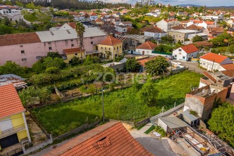 Helårsgrund i Pombal, Leiria, Pombal - € 37.500 | Ref: ZMPT586674 - foto 15