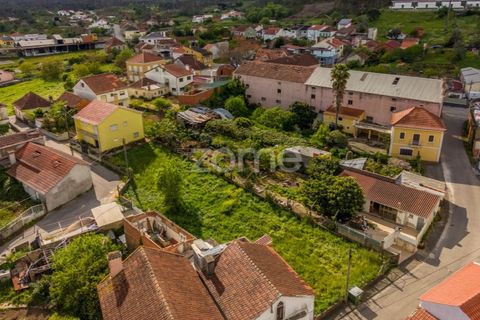 Helårsgrund i Pombal, Leiria, Pombal - € 37.500 | Ref: ZMPT586674 - foto 16