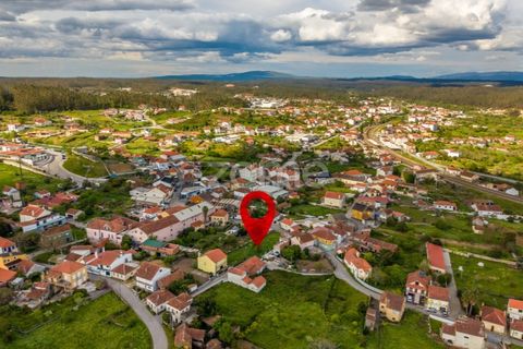 Helårsgrund i Pombal, Leiria, Pombal - € 37.500 | Ref: ZMPT586674 - foto 22