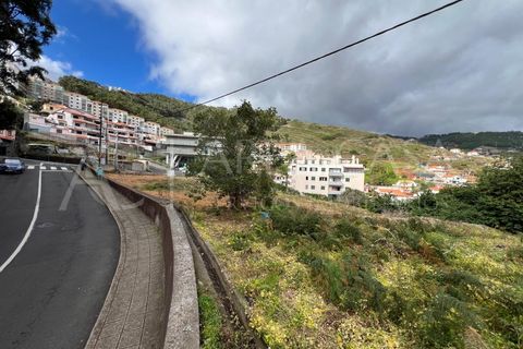 Helårsgrund i Caniço, Madeira, Caniço - € 690.000 | Ref: SÒL_145 - foto 9