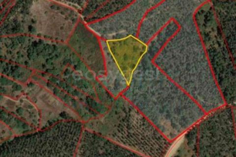 Helårsgrund i Serra, Santarem, Serra - € 20.000 | Ref: CB98887MA - foto 1