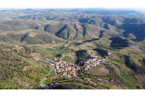 Villa i Torre de Moncorvo, Braganca, Torre de Moncorvo - € 46.000 | Ref: BG98904MG - foto 10