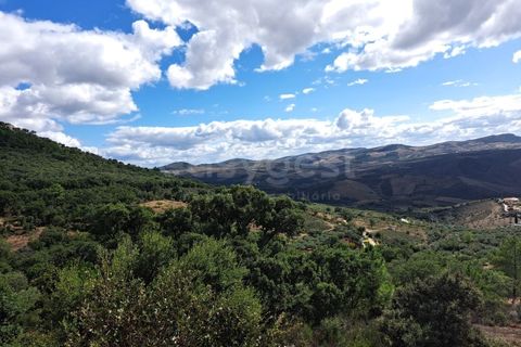 Villa i Torre de Moncorvo, Braganca, Torre de Moncorvo - € 46.000 | Ref: BG98904MG - foto 11