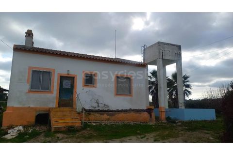 Farm hus i Beja, Beja, Beja - € 285.000 | Ref: OR98874EW - foto 6