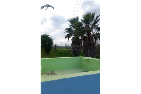 Farm hus i Beja, Beja, Beja - € 285.000 | Ref: OR98874EW - foto 24