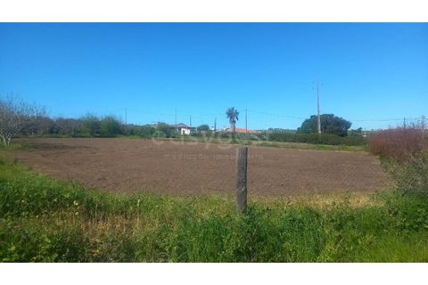 Farm hus i Beja, Beja, Beja - € 285.000 | Ref: OR98874EW - foto 3