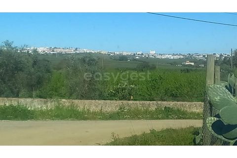 Farm hus i Beja, Beja, Beja - € 285.000 | Ref: OR98874EW - foto 25
