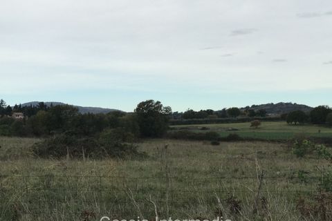 Terra a Nepi, Viterbo, Nepi - € 120.000 | Ref: Prato - foto 2