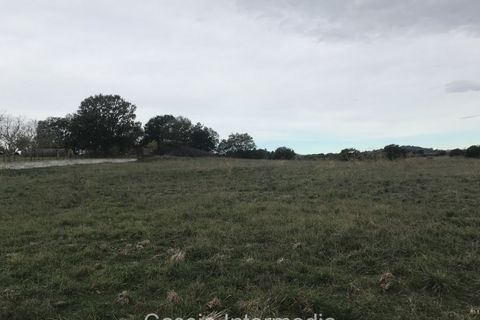 Terra a Nepi, Viterbo, Nepi - € 120.000 | Ref: Prato - foto 4