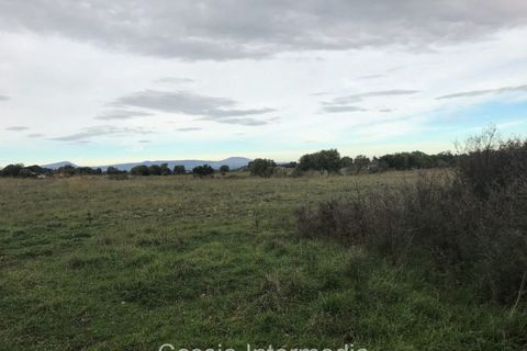 Terra a Nepi, Viterbo, Nepi - € 120.000 | Ref: Prato - foto 5
