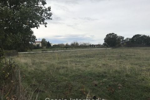 Terra a Nepi, Viterbo, Nepi - € 120.000 | Ref: Prato - foto 6