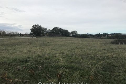 Terra a Nepi, Viterbo, Nepi - € 120.000 | Ref: Prato - foto 7