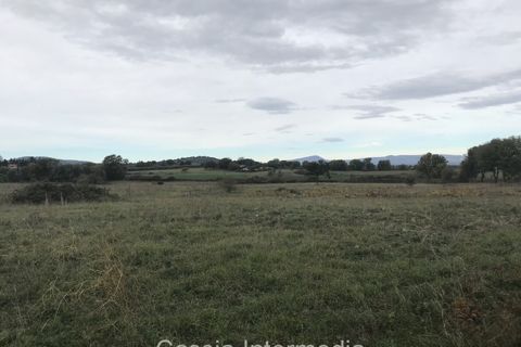 Terra a Nepi, Viterbo, Nepi - € 120.000 | Ref: Prato - foto 8