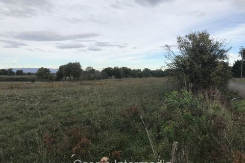 Terra a Nepi, Viterbo, Nepi - € 120.000 | Ref: Prato - foto 9
