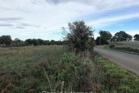 Terra a Nepi, Viterbo, Nepi - € 120.000 | Ref: Prato - foto 10