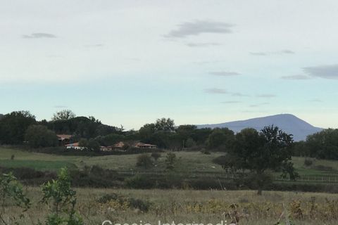 Terra a Nepi, Viterbo, Nepi - € 120.000 | Ref: Prato - foto 11