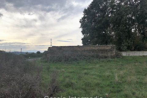 Terra a Nepi, Viterbo, Nepi - € 120.000 | Ref: Prato - foto 13
