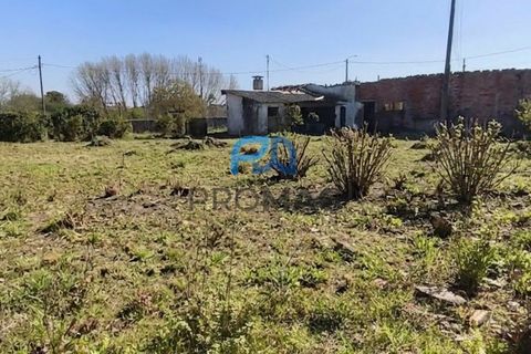 Helårsgrund i Ovar, Aveiro, Ovar - € 220.000 | Ref: #277 - foto 2