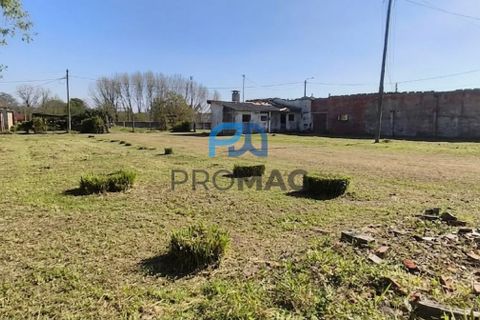 Helårsgrund i Ovar, Aveiro, Ovar - € 220.000 | Ref: #277 - foto 4