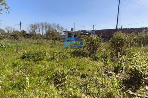 Helårsgrund i Ovar, Aveiro, Ovar - € 220.000 | Ref: #277 - foto 6