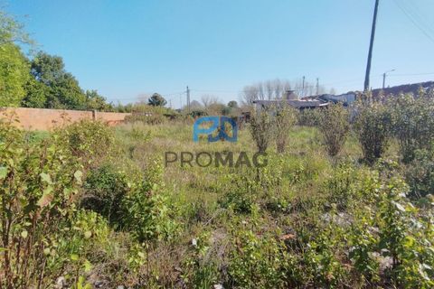 Helårsgrund i Ovar, Aveiro, Ovar - € 220.000 | Ref: #277 - foto 8