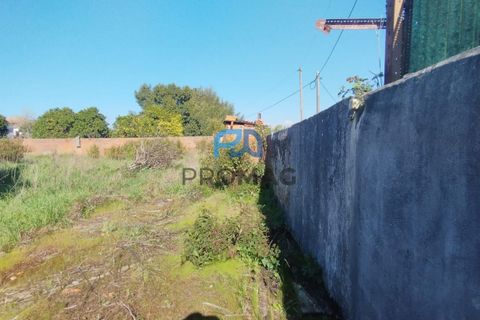 Helårsgrund i Ovar, Aveiro, Ovar - € 220.000 | Ref: #277 - foto 11