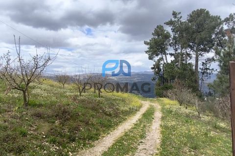Terra a Resende, Viseu, Resende - € 55.000 | Ref: #278 - foto 2