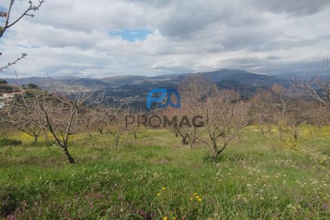 Terra a Resende, Viseu, Resende - € 55.000 | Ref: #278 - foto 4