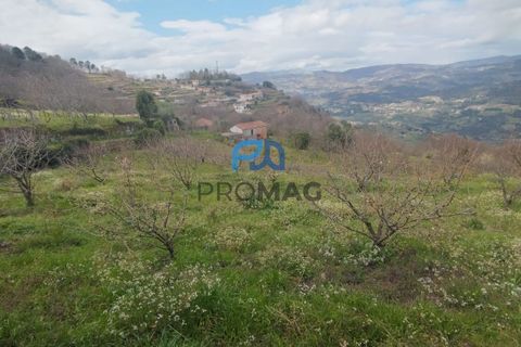 Terra a Resende, Viseu, Resende - € 55.000 | Ref: #278 - foto 5