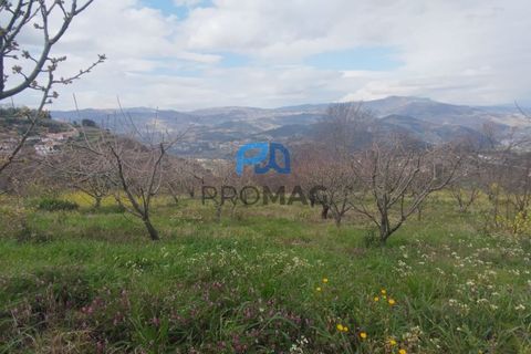 Terra a Resende, Viseu, Resende - € 55.000 | Ref: #278 - foto 14