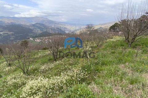 Terra a Resende, Viseu, Resende - € 55.000 | Ref: #278 - foto 17
