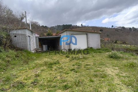Terra a Resende, Viseu, Resende - € 55.000 | Ref: #278 - foto 18