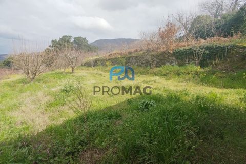 Terra a Resende, Viseu, Resende - € 55.000 | Ref: #278 - foto 25