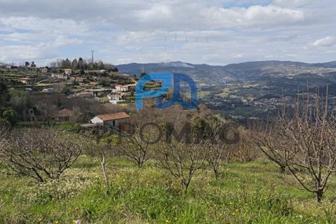 Terra a Resende, Viseu, Resende - € 55.000 | Ref: #278 - foto 27