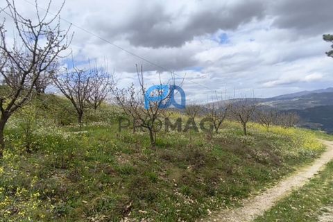 Terra a Resende, Viseu, Resende - € 55.000 | Ref: #278 - foto 28