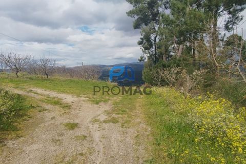 Terra a Resende, Viseu, Resende - € 55.000 | Ref: #278 - foto 29